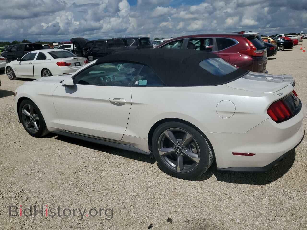 2017 FORD ALL Models - VIN: 1FATP8UH1H5296335 - Photo 2