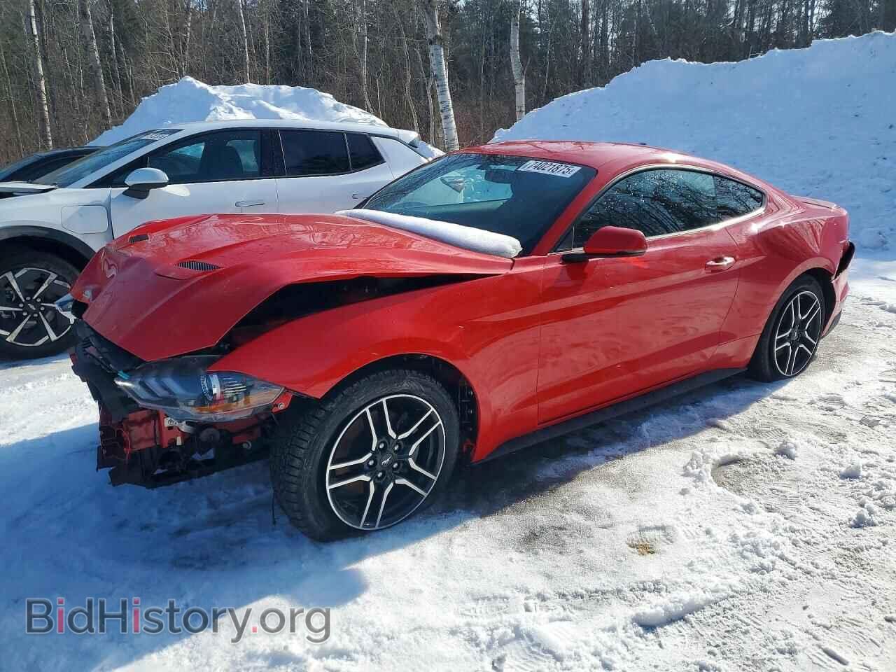 Фотография 1FA6P8TH0K5103100 - FORD MUSTANG 2019