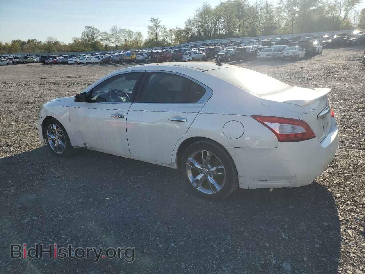 2010 NISSAN MAXIMA - VIN: 1N4AA5AP8AC846473 - Фото 2