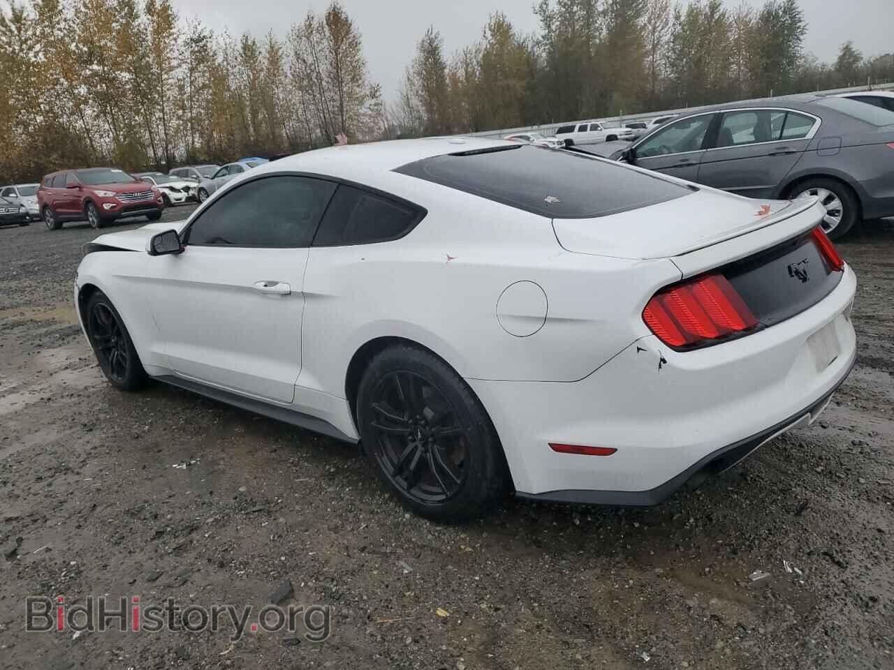 2016 FORD ALL Models - VIN: 1FA6P8TH9G5247218 - Фото 2