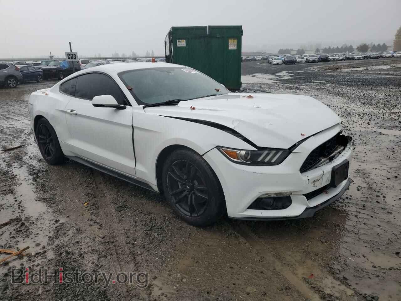 2016 FORD ALL Models - VIN: 1FA6P8TH9G5247218 - Фото 4