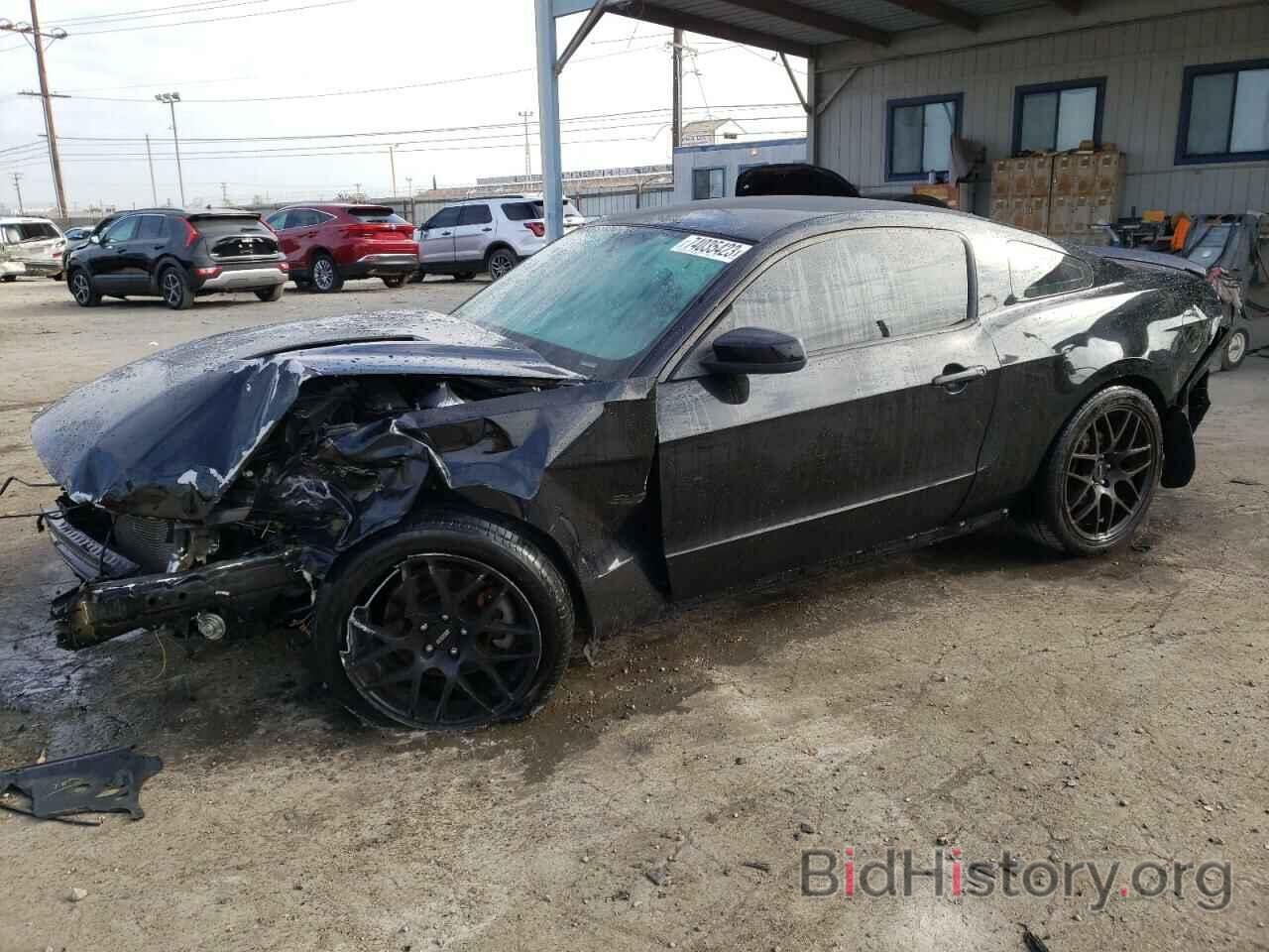 Photo 1ZVBP8CFXD5264545 - FORD MUSTANG 2013