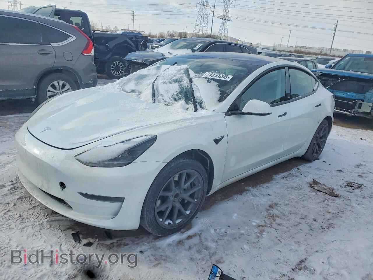 Photo 5YJ3E1EAXPF396195 - TESLA MODEL 3 2023