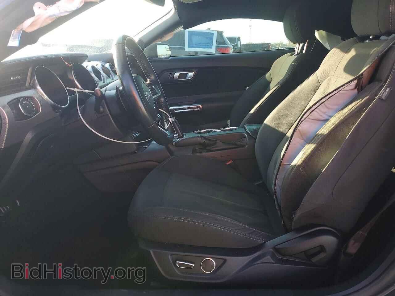 2019 FORD ALL Models - VIN: 1FA6P8TH3K5167082 - Photo 7