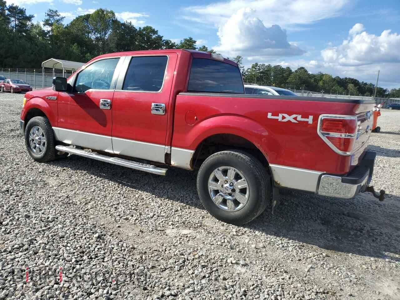 2010 FORD F-150 - VIN: 1FTFW1EV1AFD75624 - Фото 2