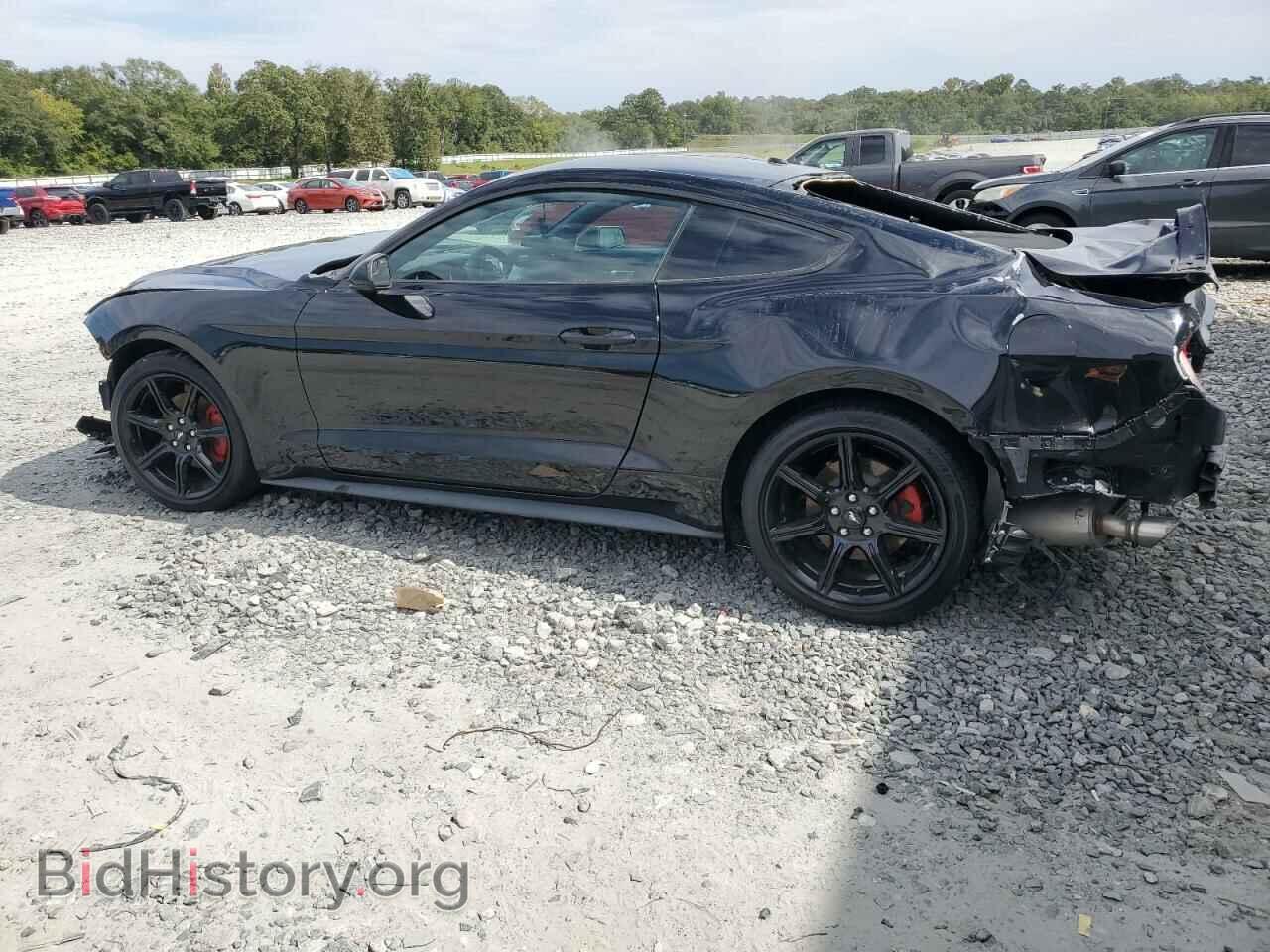2019 FORD ALL Models - VIN: 1FA6P8THXK5184896 - Фото 2