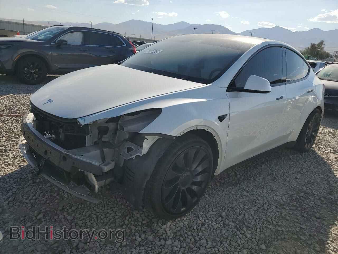 Photo 5YJYGDEF2MF072196 - TESLA MODEL Y 2021