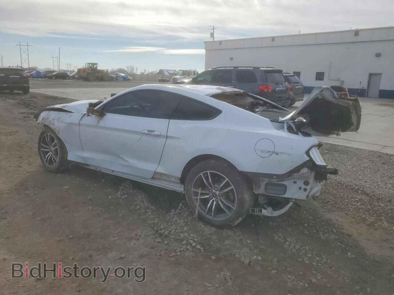 2017 FORD ALL Models - VIN: 1FA6P8TH5H5295901 - Фото 2