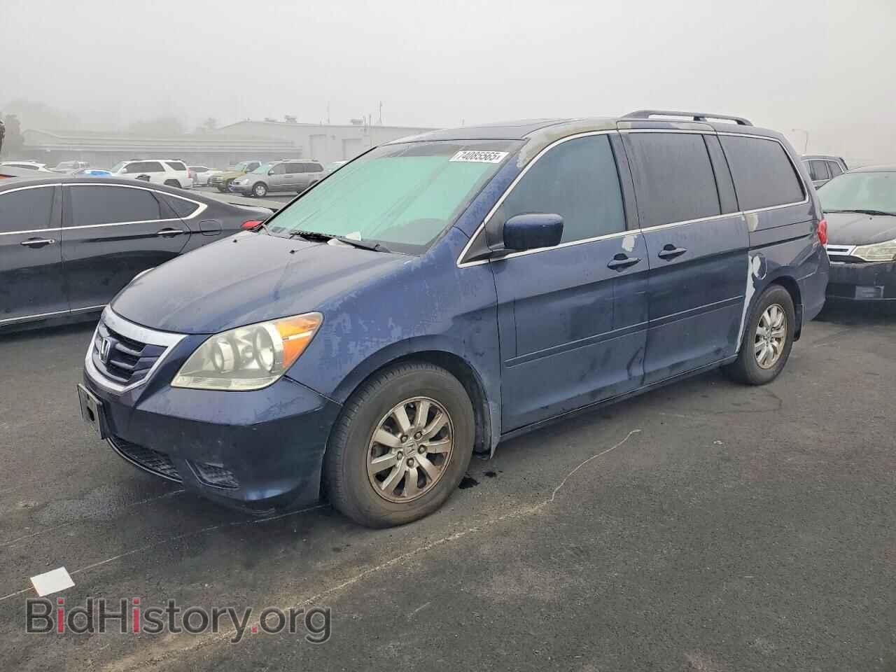 Photo 5FNRL38698B018194 - HONDA All Models 2008