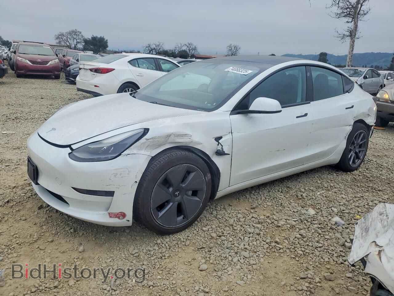 Photo 5YJ3E1EA3MF059122 - TESLA MODEL 3 2021