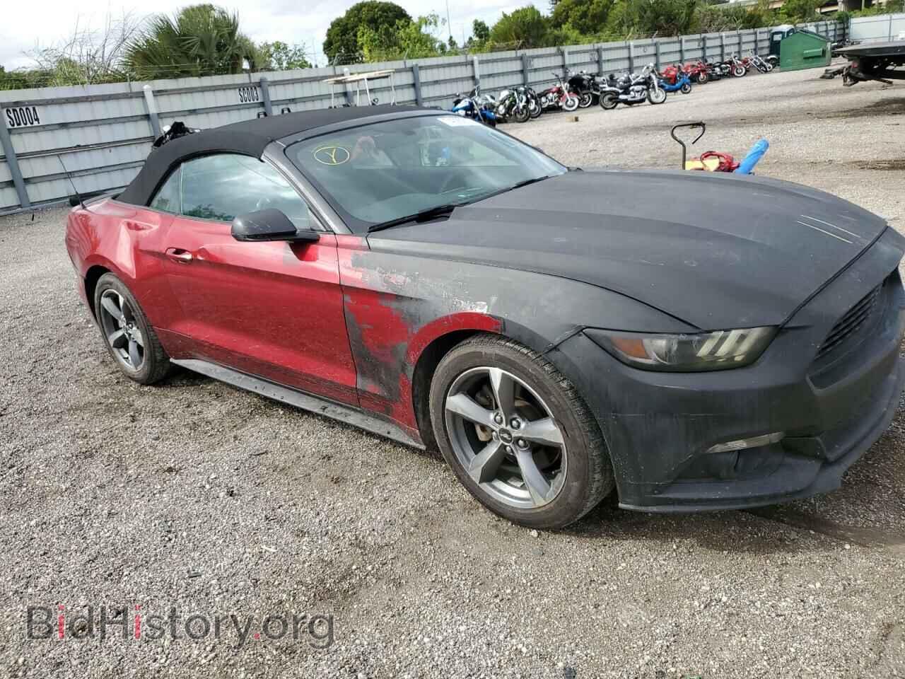 2017 FORD ALL Models - VIN: 1FATP8UH6H5303246 - Фото 4