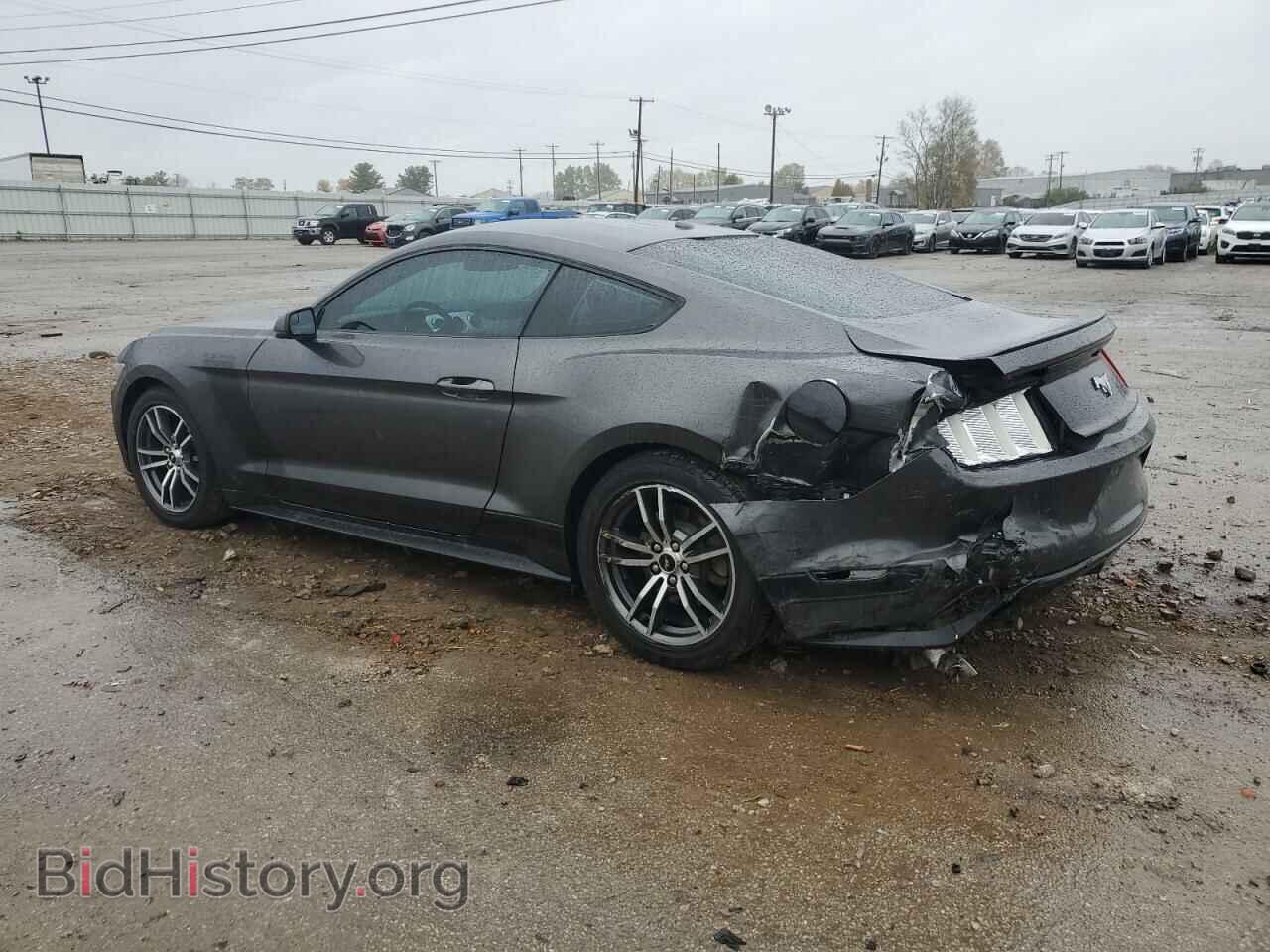 2017 FORD ALL Models - VIN: 1FA6P8TH1H5313164 - Фото 2