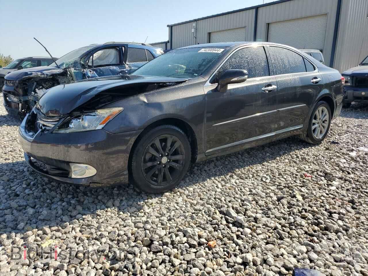 Фотография JTHBK1EG3A2391423 - LEXUS ES350 2010