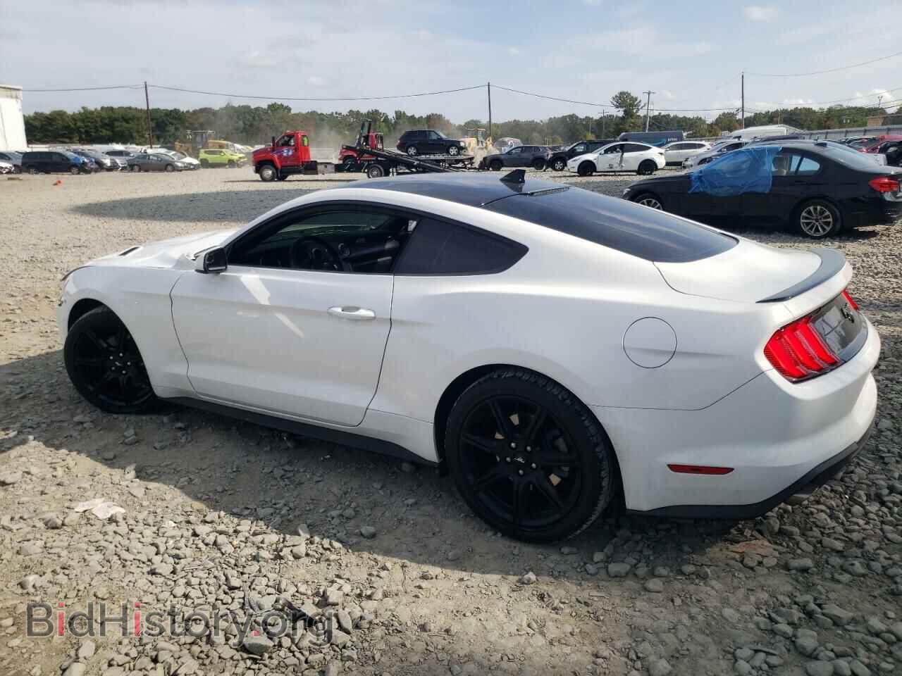 2020 FORD ALL Models - VIN: 1FA6P8TH7L5157494 - Фото 2