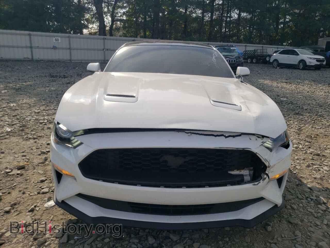 2020 FORD ALL Models - VIN: 1FA6P8TH7L5157494 - Фото 5