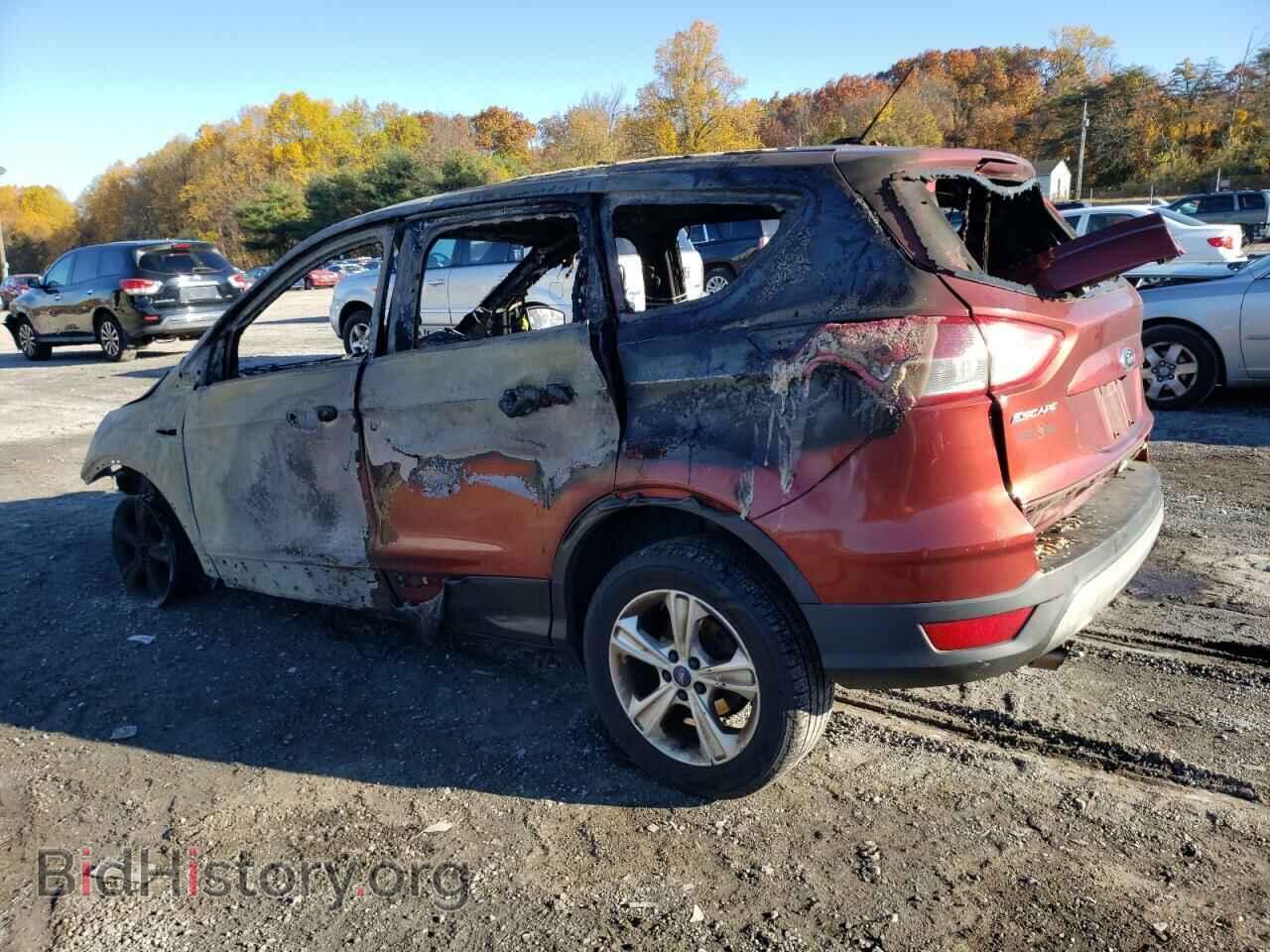 2014 FORD ESCAPE - VIN: 1FMCU9GX4EUB83116 - Photo 2