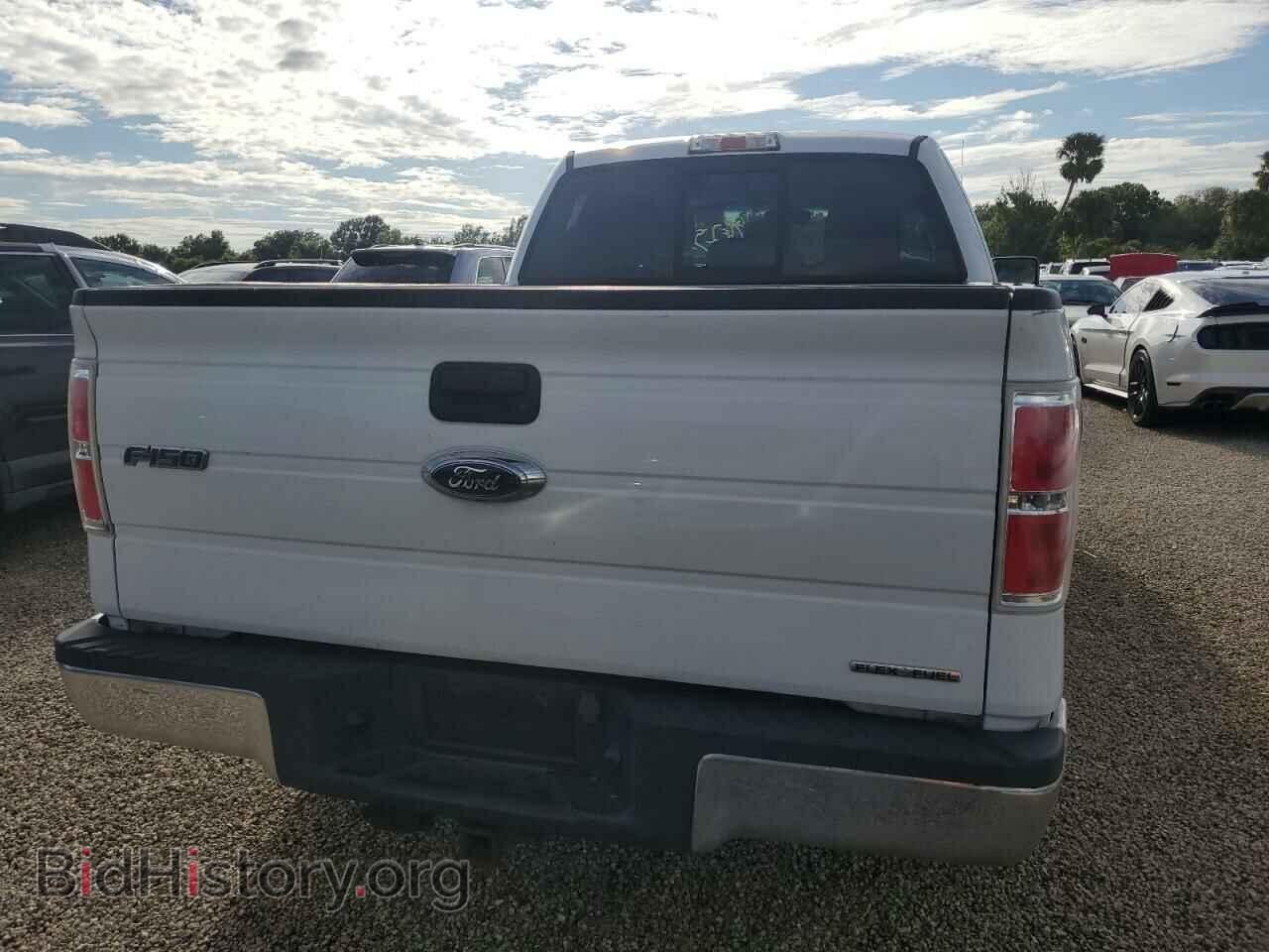 2013 FORD F-150 - VIN: 1FTEX1CM0DFD42511 - Фото 6