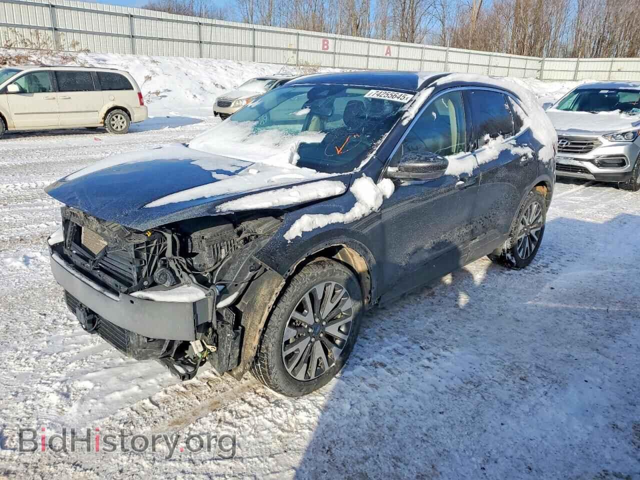 Photo 1FMCU9J9XLUA14855 - FORD ESCAPE 2020