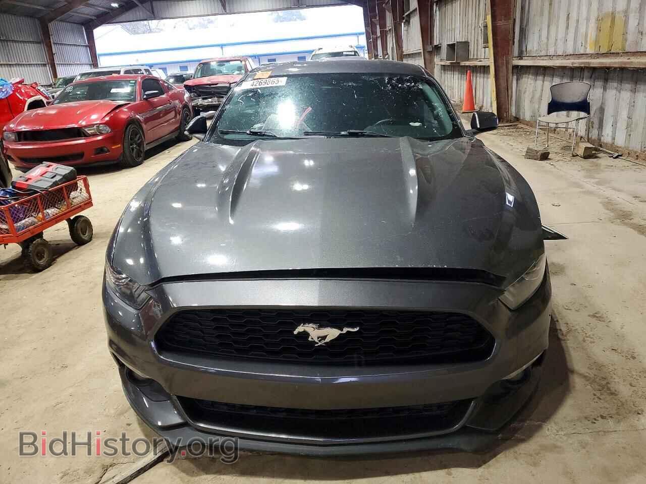 2017 FORD ALL Models - VIN: 1FA6P8TH3H5224356 - Photo 5