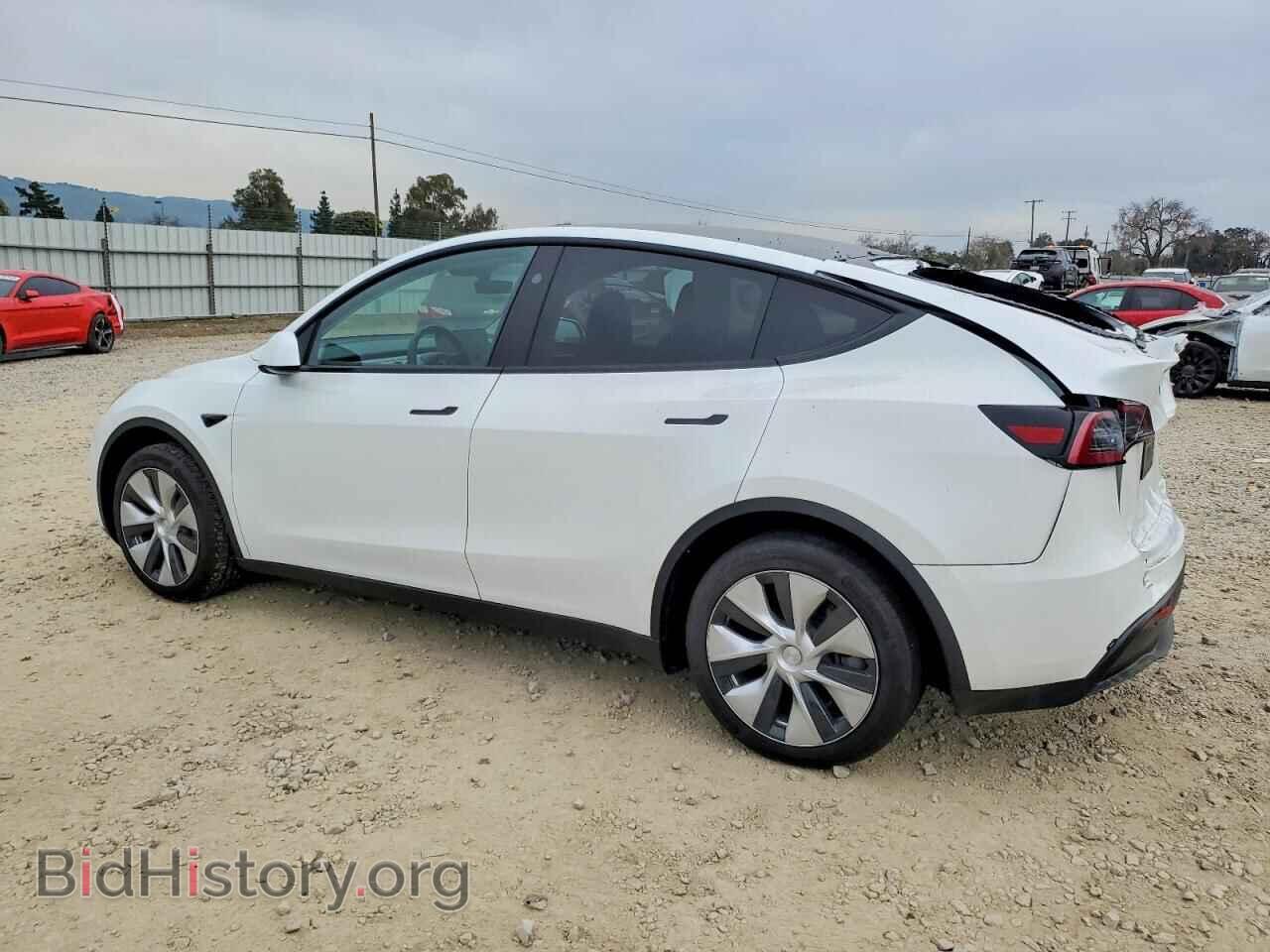 2024 TESLA MODEL Y - VIN: 7SAYGDED9RF030889 - Фото 2