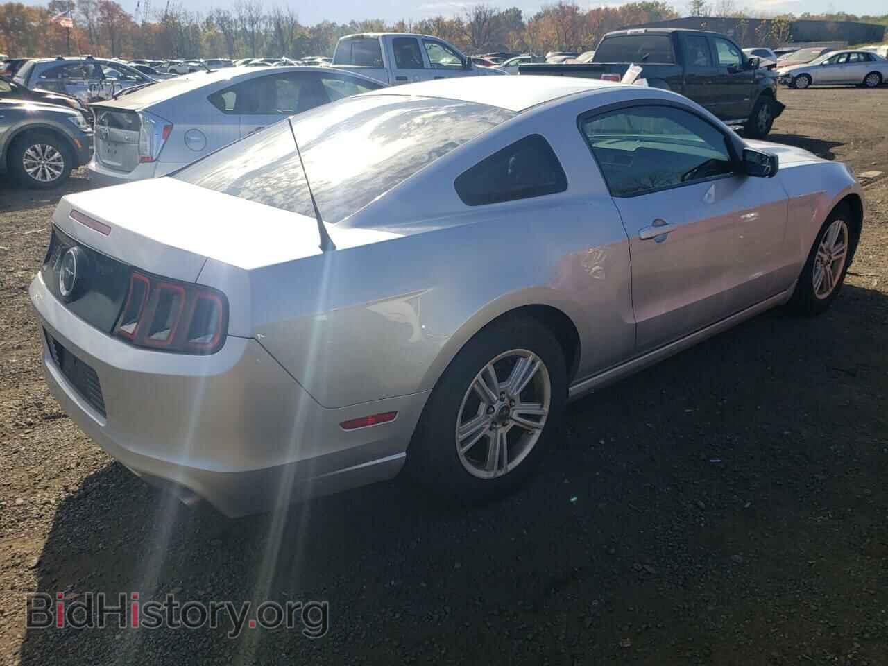 2013 FORD ALL Models - VIN: 1ZVBP8AM2D5265240 - Фото 3