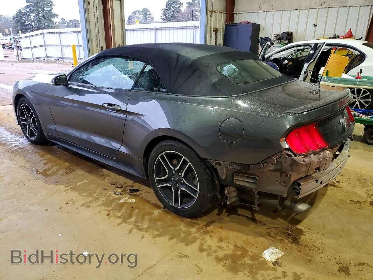 2019 FORD ALL Models - VIN: 1FATP8UH5K5159146 - Фото 2