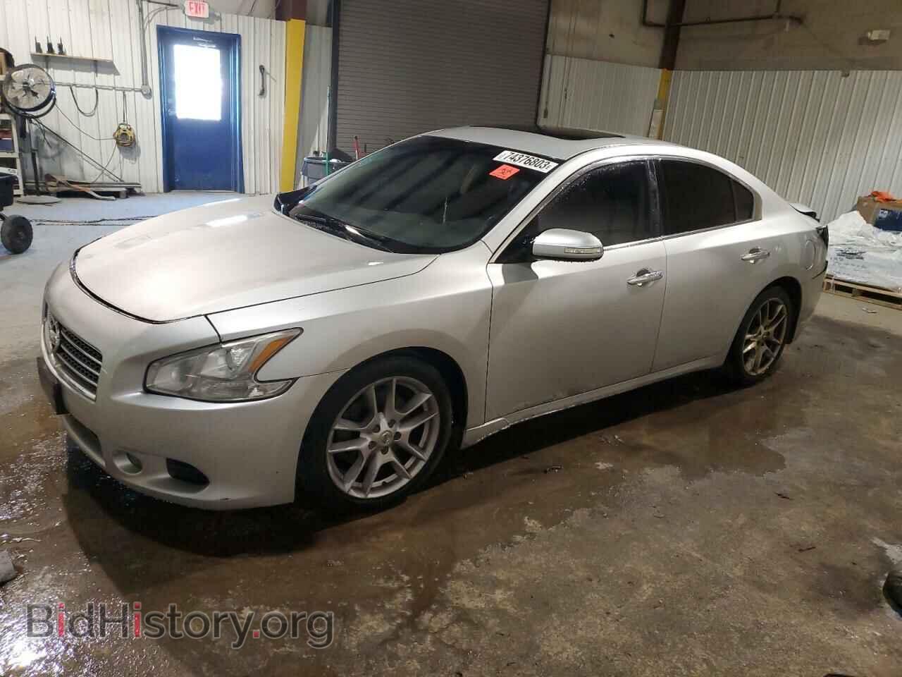Фотография 1N4AA5AP4BC859934 - NISSAN MAXIMA 2011