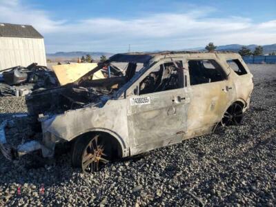 2017 Ford EXPLORER — VIN 1FM5K8FH8HGA69531, Copart