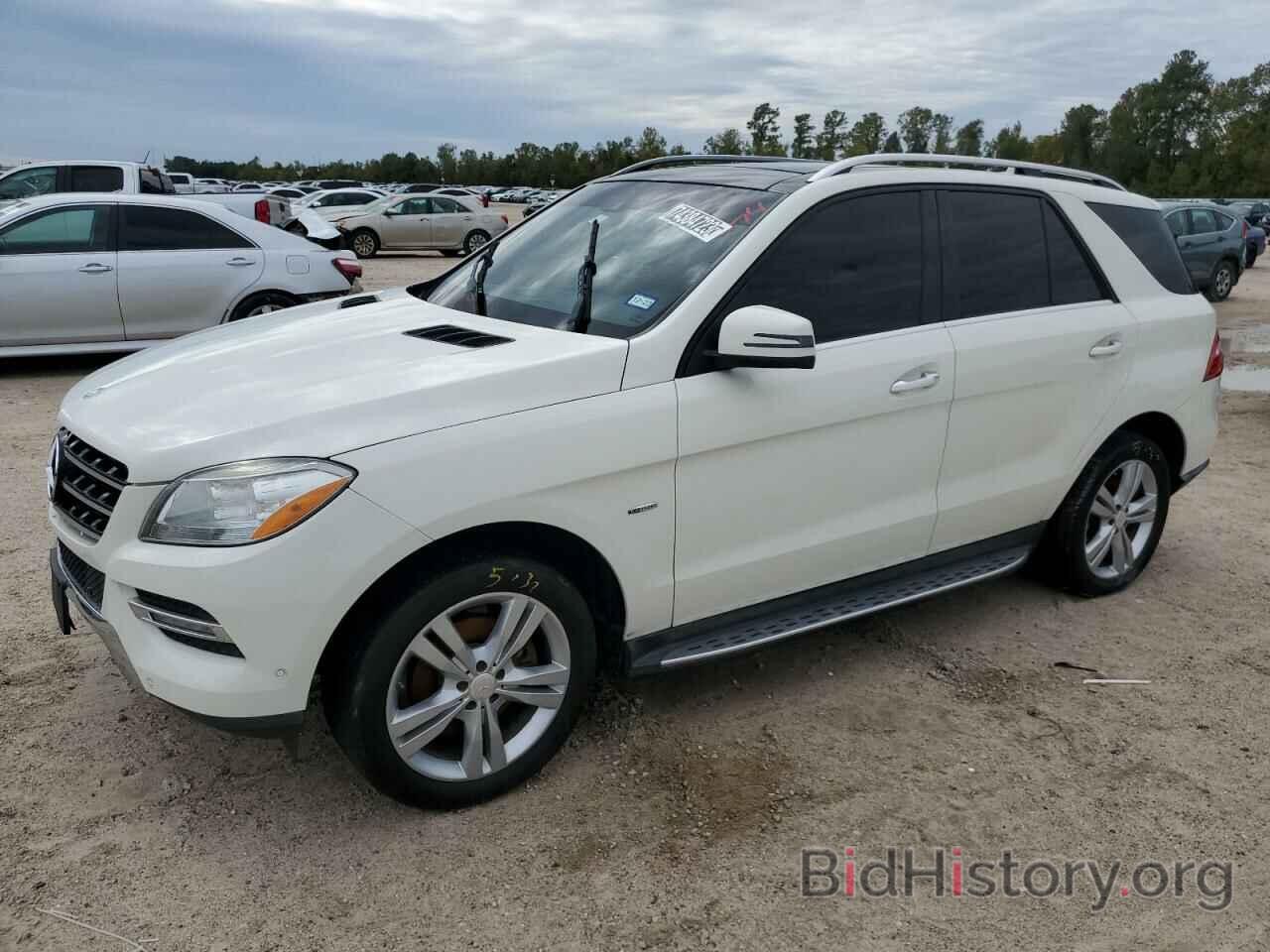 Photo 4JGDA5HB6CA070274 - MERCEDES-BENZ M-CLASS 2012