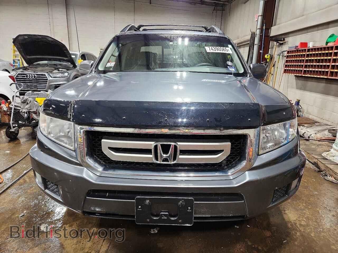 2010 HONDA RIDGELINE - VIN: 5FPYK1F43AB005393 - Фото 5