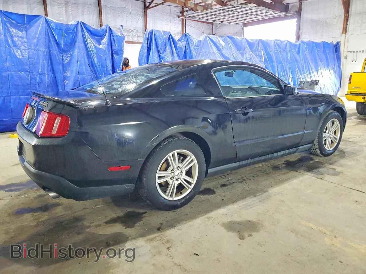 2011 FORD ALL Models - VIN: 1ZVBP8AM9B5122170 - Фото 3