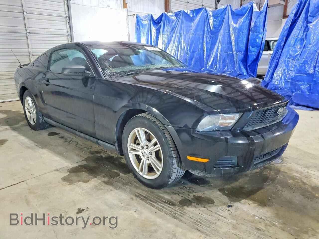 2011 FORD ALL Models - VIN: 1ZVBP8AM9B5122170 - Фото 4