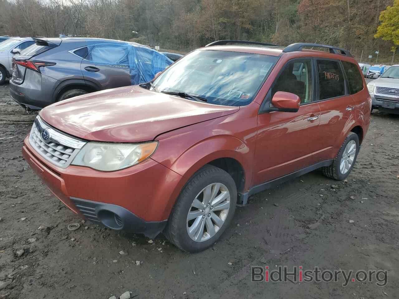 Photo JF2SHBDC7BH736764 - SUBARU FORESTER 2011