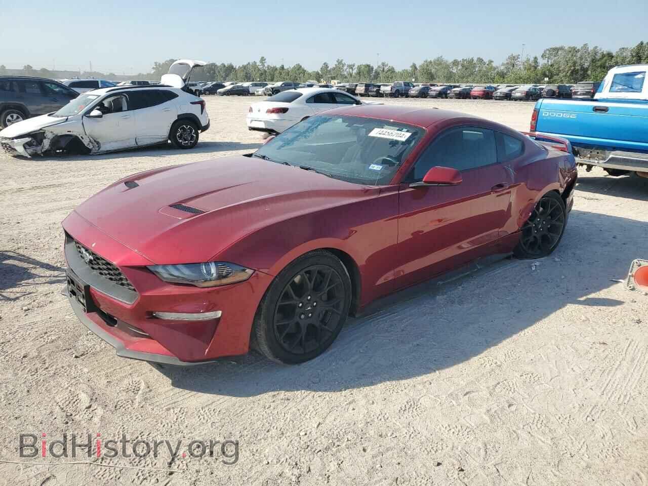 Фотография 1FA6P8THXK5201857 - FORD ALL Models 2019