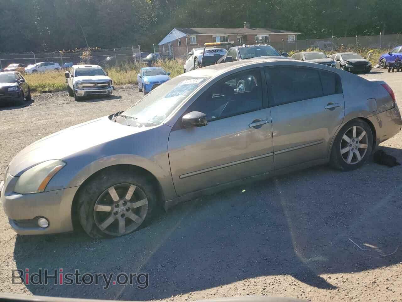 Photo 1N4BA41E06C816906 - NISSAN MAXIMA 2006