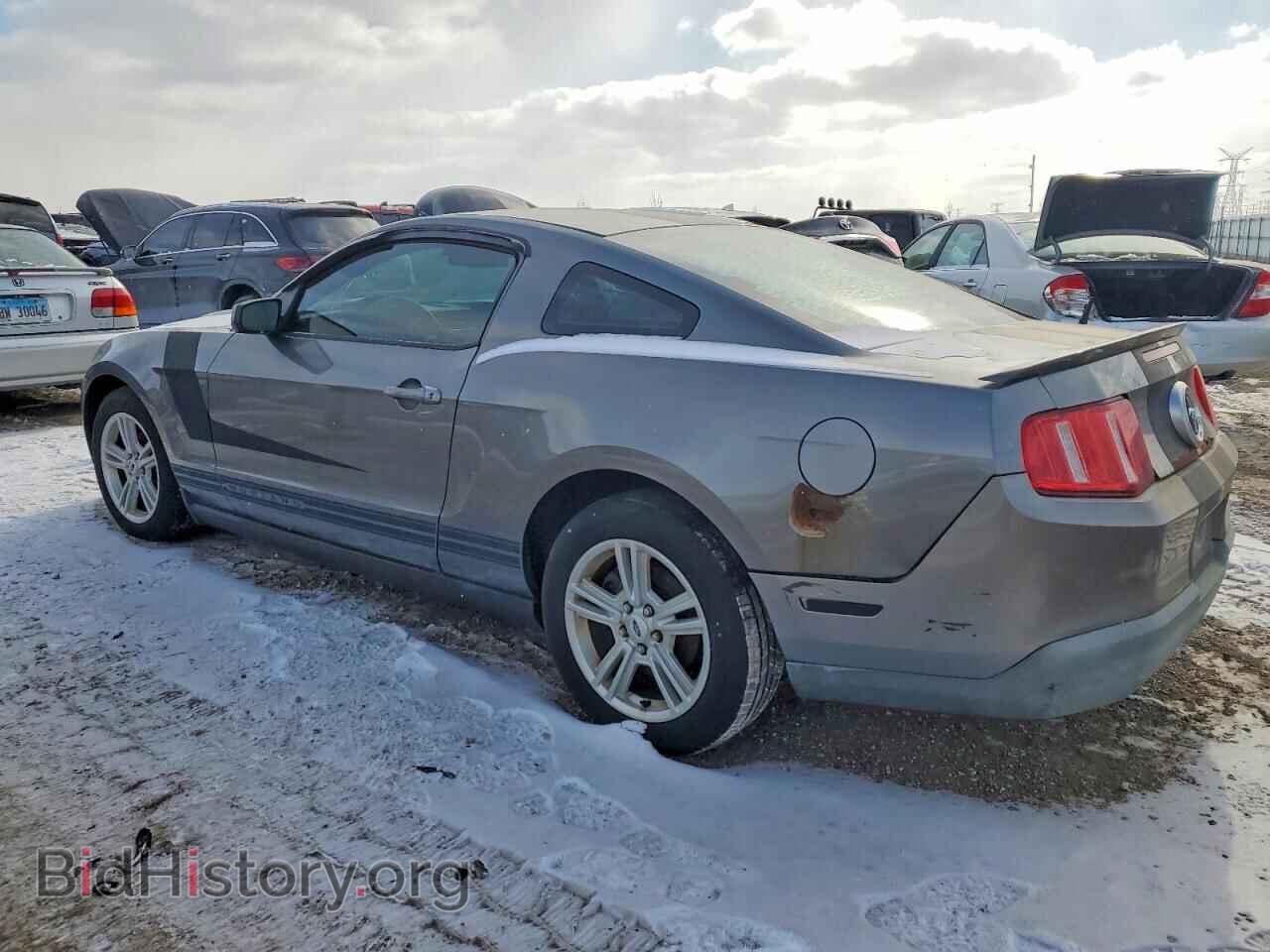 2010 FORD ALL Models - VIN: 1ZVBP8AN1A5165389 - Фото 2