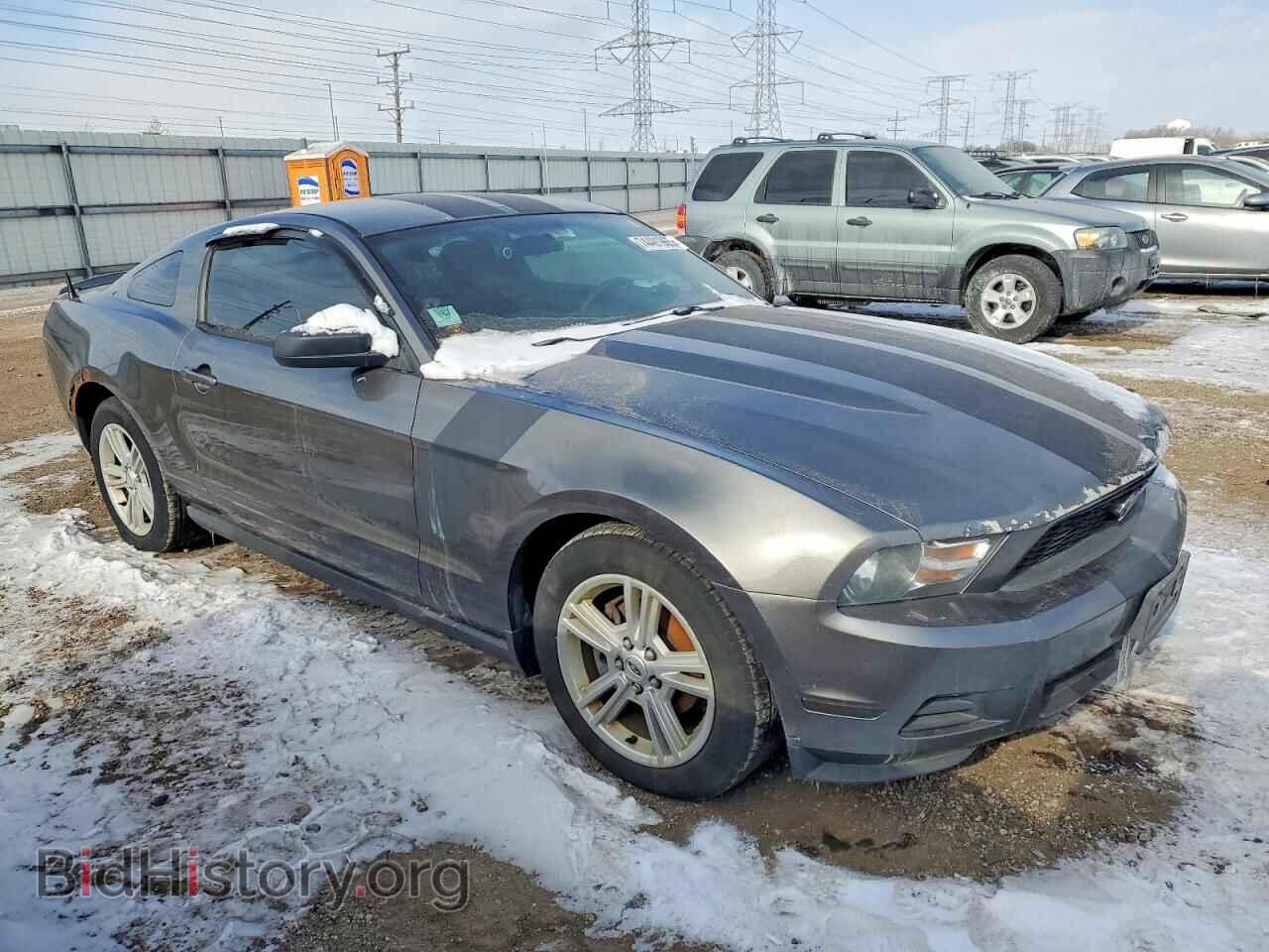 2010 FORD ALL Models - VIN: 1ZVBP8AN1A5165389 - Фото 4