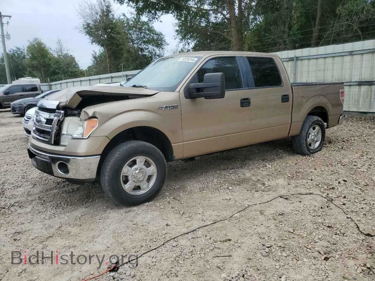 Фотография 1FTEW1CM4DKD11109 - FORD F-150 2013