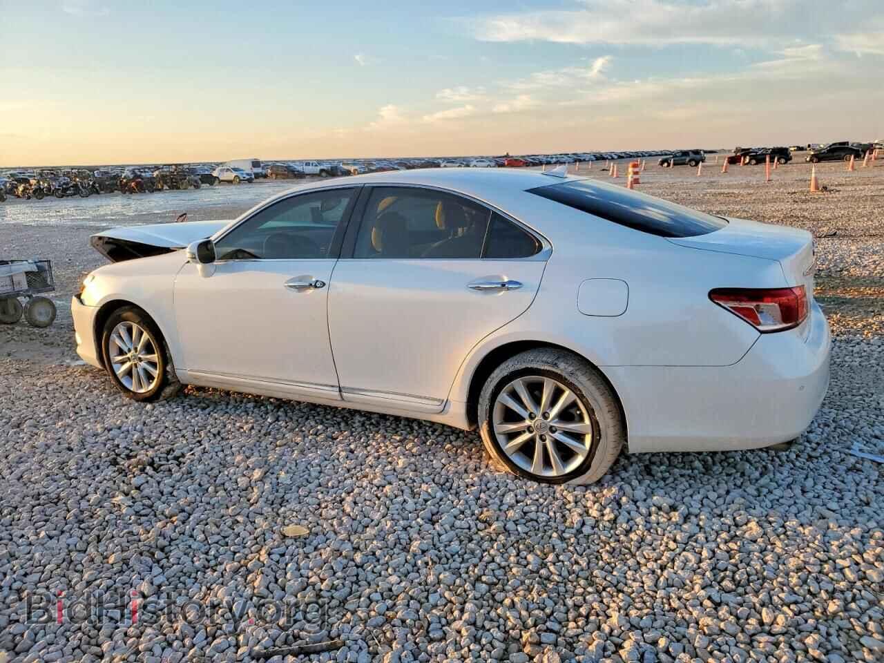 2011 LEXUS ES350 - VIN: JTHBK1EG2B2457672 - Photo 2