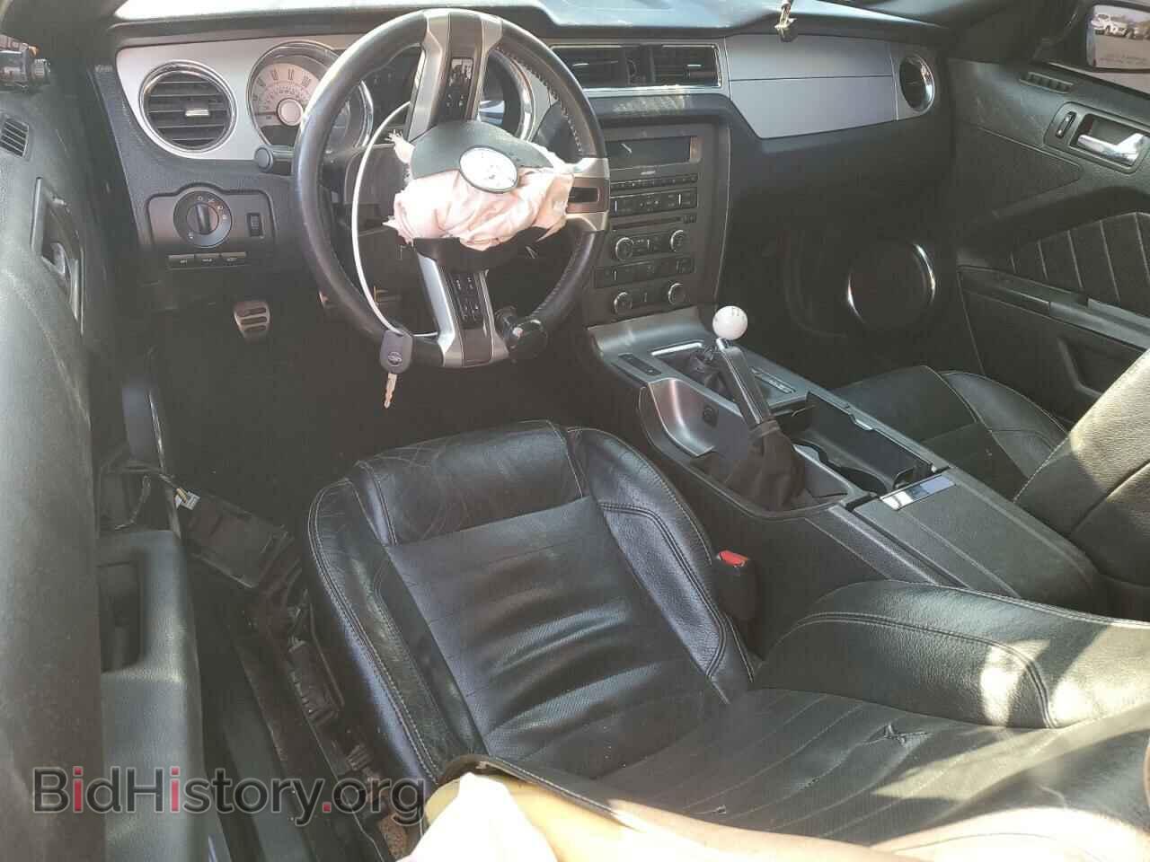 2010 FORD MUSTANG - VIN: 1ZVBP8CH1A5114742 - Фото 8