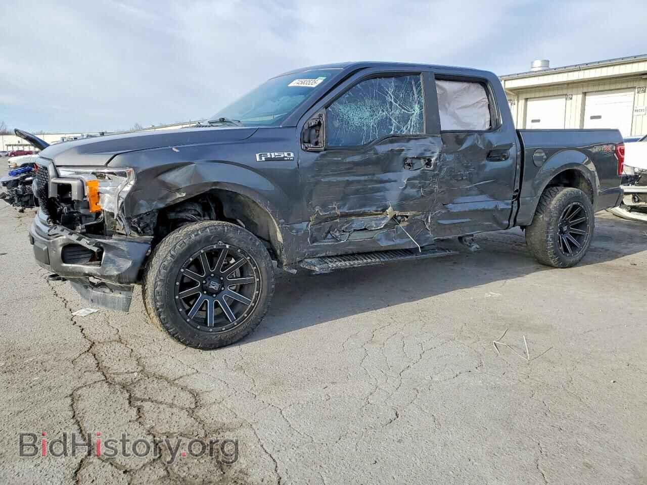 Фотография 1FTEW1EP1KKC66330 - FORD F-150 2019