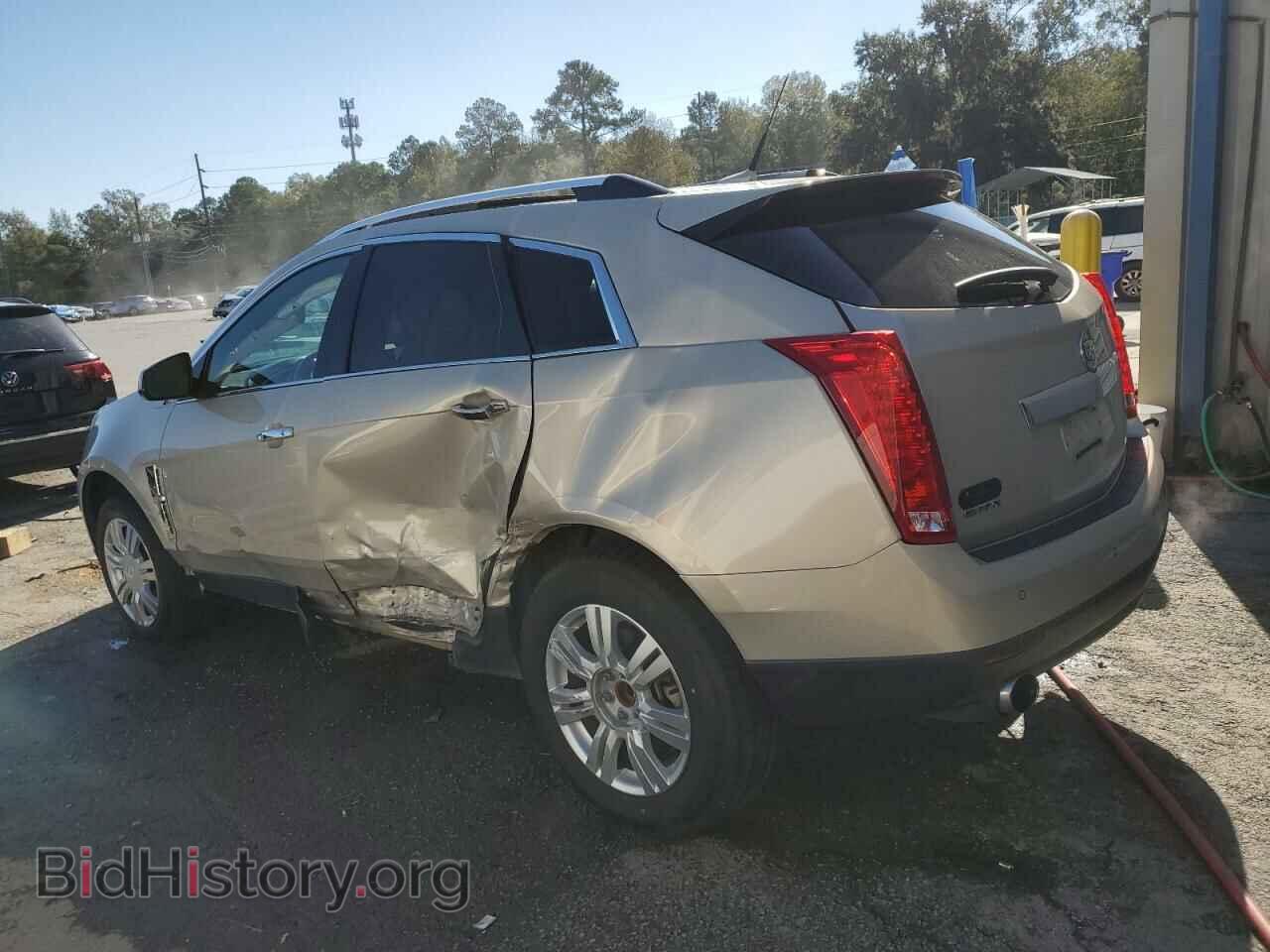 2010 CADILLAC SRX - VIN: 3GYFNAEY7AS653560 - Фото 2