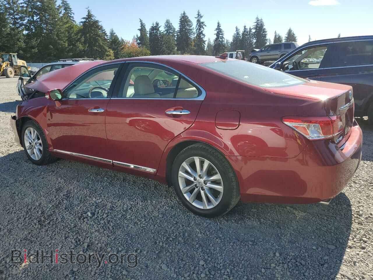 2010 LEXUS ES350 - VIN: JTHBK1EG7A2360935 - Фото 2