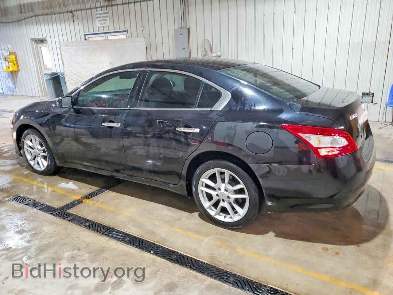 2009 NISSAN MAXIMA - VIN: 1N4AA51E29C823393 - Фото 2