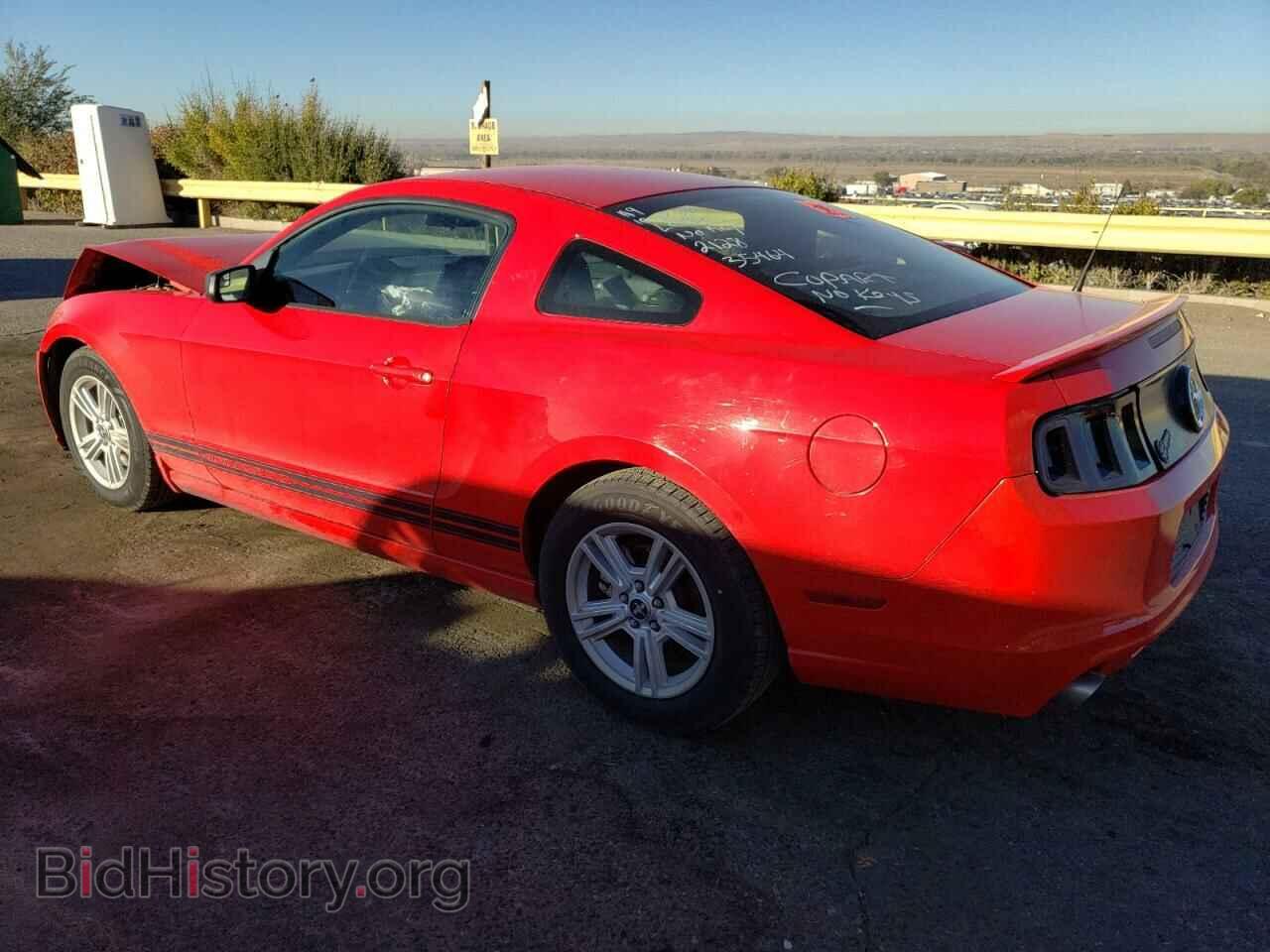 2013 FORD ALL Models - VIN: 1ZVBP8AM5D5282128 - Фото 2