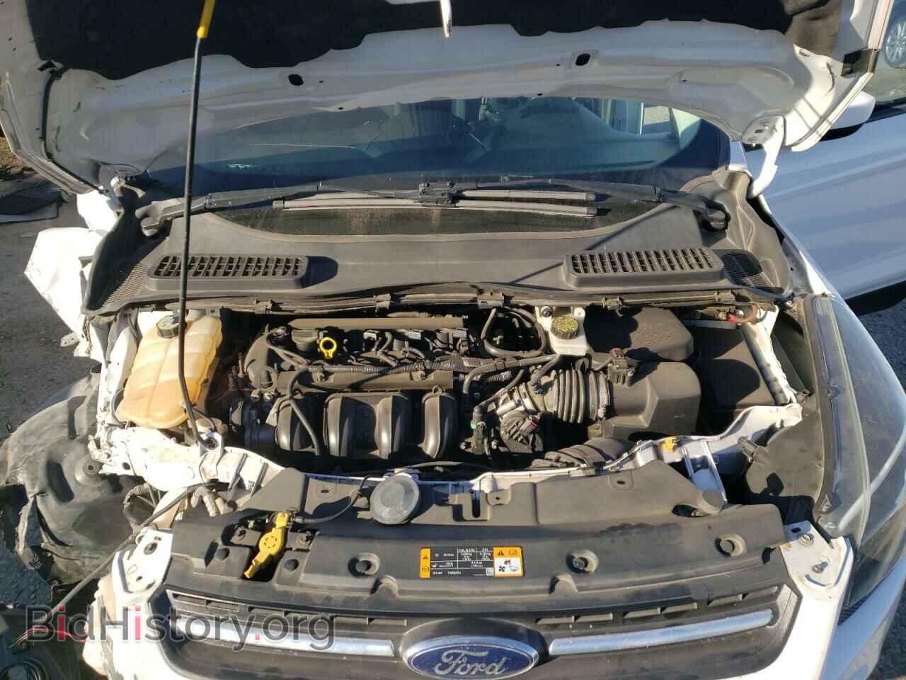 2013 FORD ESCAPE - VIN: 1FMCU0F73DUD56653 - Photo 12