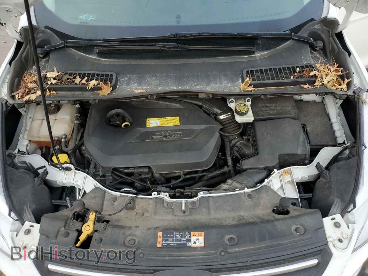 2014 FORD ESCAPE - VIN: 1FMCU0GX4EUB76162 - Photo 12