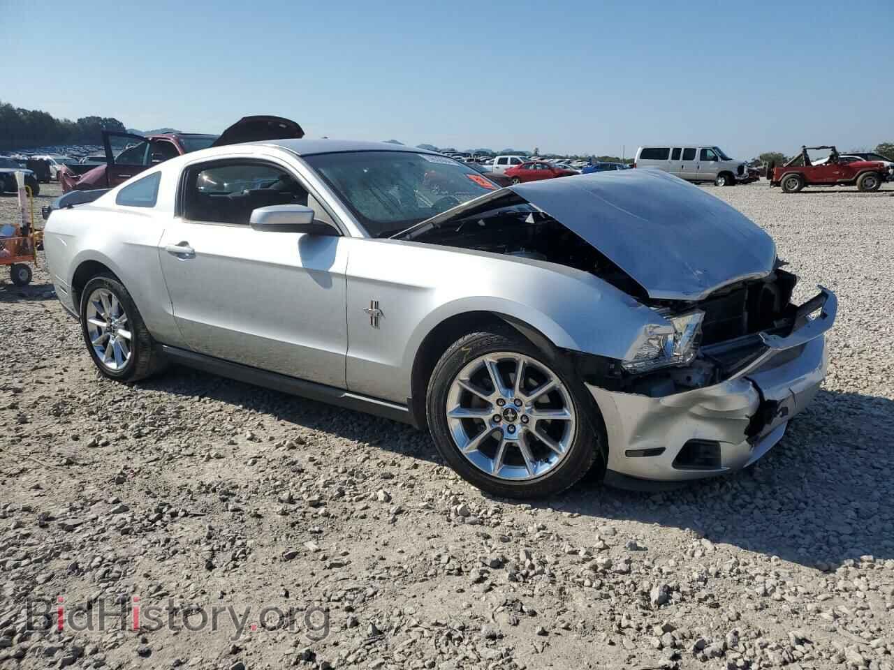 2010 FORD ALL Models - VIN: 1ZVBP8AN7A5135135 - Фото 4
