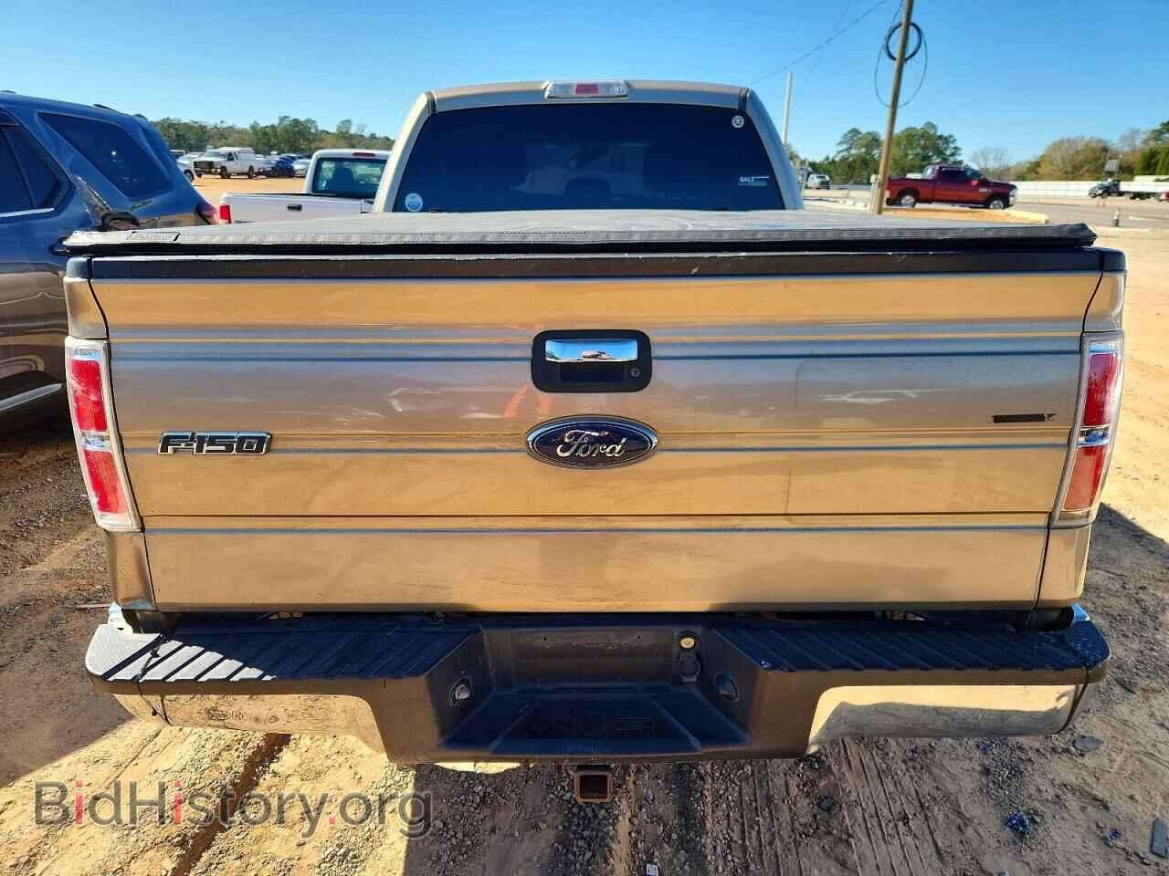 2013 FORD F-150 - VIN: 1FTFX1CT5DFD52978 - Фото 6