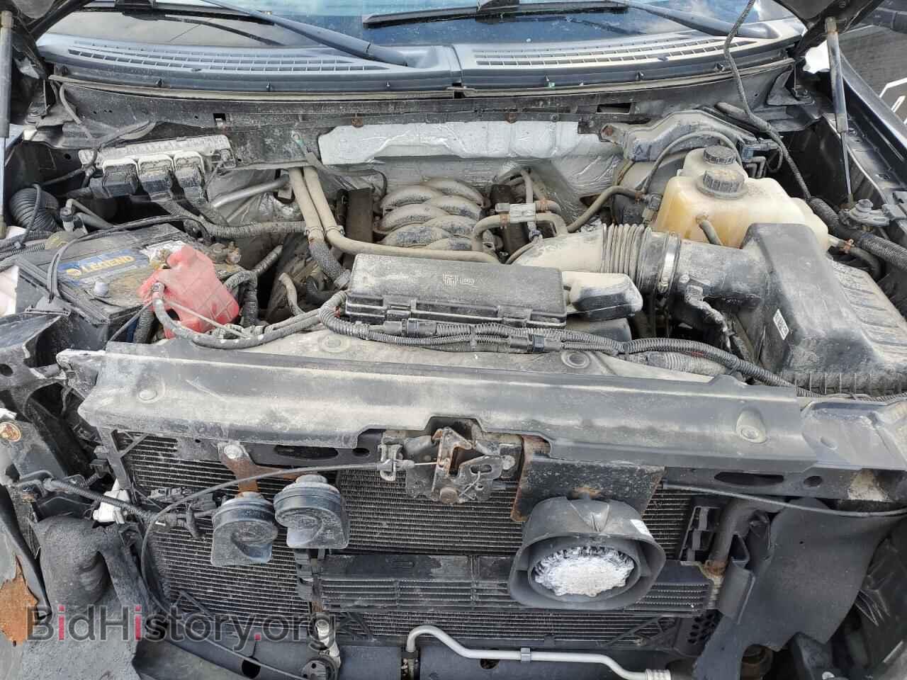 2013 FORD All Models - VIN: 1FTMF1EFXDKF49413 - Фото 11